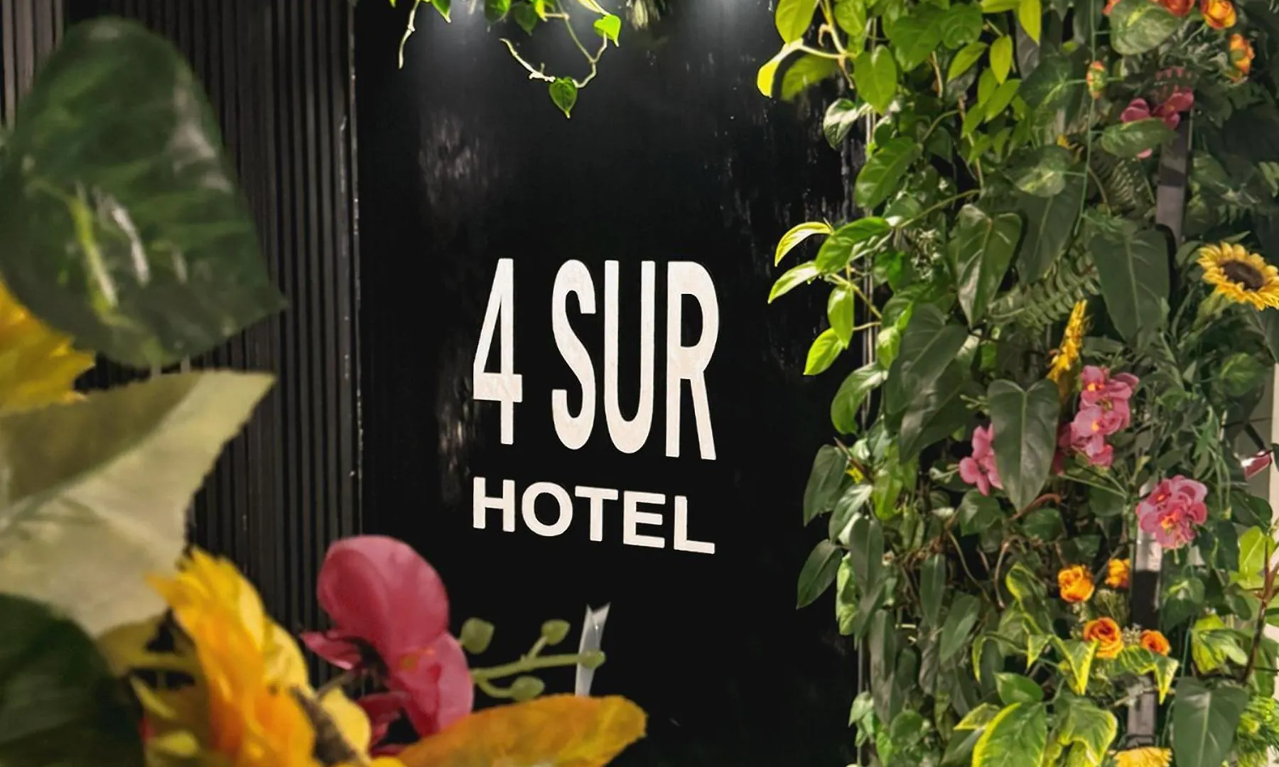 ****  4 Sur Hotel Medellin Colombia